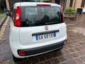 Fiat Panda Panda anno 2020 natural power 70cv Bianco - thumbnail 4