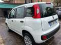 Fiat Panda Panda anno 2020 natural power 70cv Bianco - thumbnail 5