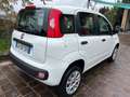 Fiat Panda Panda anno 2020 natural power 70cv Bianco - thumbnail 6