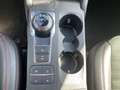Ford Kuga 2.5 Duratec PHEV ST-Line X Navi Kamera Parkp Bleu - thumbnail 21