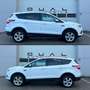 Ford Kuga 2,0 TDCi Trend Start/Stop Powershift Aut. AWD Weiß - thumbnail 7