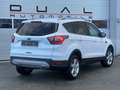 Ford Kuga 2,0 TDCi Trend Start/Stop Powershift Aut. AWD Blanc - thumbnail 4