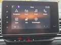 Renault Trafic Combi L1H1 3,0t/Life/NAVI/LED/PDC/9 SITZE Rot - thumbnail 19