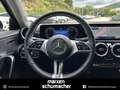 Mercedes-Benz A 180 A 180 Progr. AHK+Winter+Kamera+Carbon+LED+MY24 Schwarz - thumbnail 21