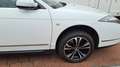 Citroen C6 C6 HDi 240 Biturbo FAP Exclusive Weiß - thumbnail 8