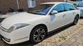 Citroen C6 C6 HDi 240 Biturbo FAP Exclusive Weiß - thumbnail 2
