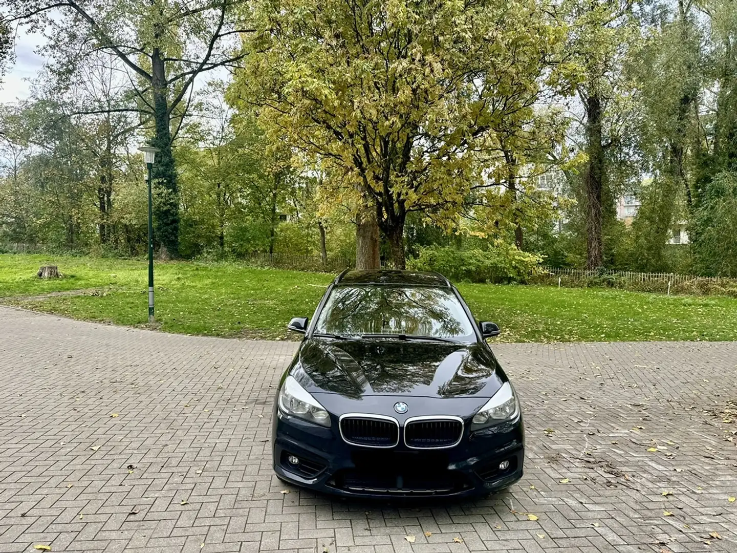 BMW 216 Gran Tourer 216 dA Zwart - 2