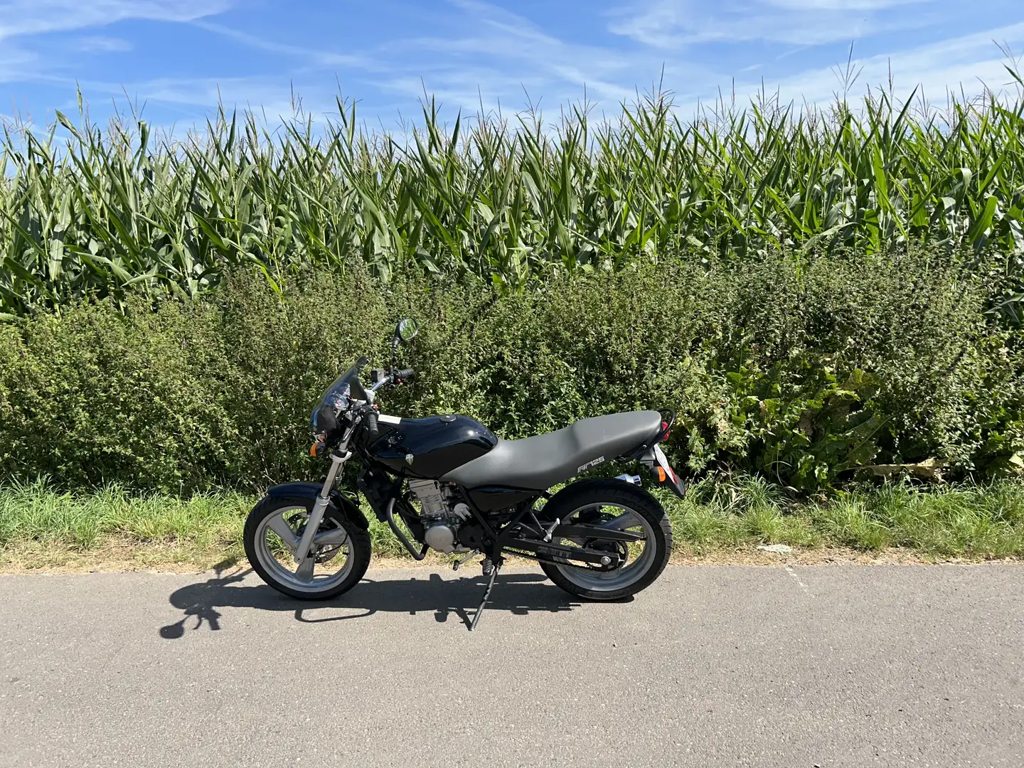 MZ RT 125 - 2