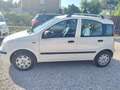 Fiat Panda 1.2 Active Bianco - thumbnail 7