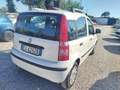 Fiat Panda 1.2 Active Bianco - thumbnail 4
