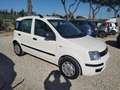 Fiat Panda 1.2 Active Bianco - thumbnail 2