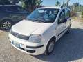 Fiat Panda 1.2 Active Bianco - thumbnail 8