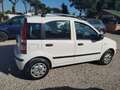 Fiat Panda 1.2 Active Bianco - thumbnail 3