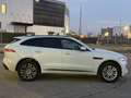 Jaguar F-Pace F-Pace 2015 2.0d i4 Prestige 180cv auto my19 Blanc - thumbnail 7
