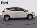 Ford Fiesta 5p 1.1 Plus 85cv my19.5 Bianco - thumbnail 11