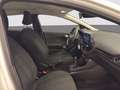 Ford Fiesta 5p 1.1 Plus 85cv my19.5 Bianco - thumbnail 8