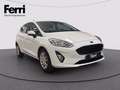 Ford Fiesta 5p 1.1 Plus 85cv my19.5 Bianco - thumbnail 13