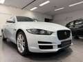 Jaguar XE 25t AWD Pure |250 PS | TÜV Neu | Service Neu Weiß - thumbnail 5