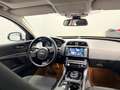 Jaguar XE 25t AWD Pure |250 PS | TÜV Neu | Service Neu Weiß - thumbnail 11