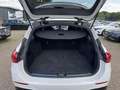Mercedes-Benz C 43 AMG C 43 4MATIC T-Modell Sport AkustikGlas ACC PDC Weiß - thumbnail 11