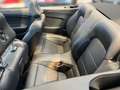 Ford Mustang 5.0 Ti-VCT V8 GT Cabrio Aut. Neuer Motor Grau - thumbnail 9