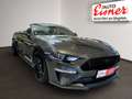 Ford Mustang 5.0 Ti-VCT V8 GT Cabrio Aut. Neuer Motor Grau - thumbnail 19