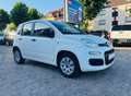 Fiat Panda 1.2 Pop Klimaalage Weiß - thumbnail 1