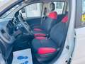 Fiat Panda 1.2 Pop Klimaalage Weiß - thumbnail 11