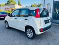 Fiat Panda 1.2 Pop Klimaalage Weiß - thumbnail 4