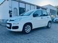 Fiat Panda 1.2 Pop Klimaalage Weiß - thumbnail 3