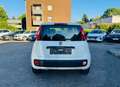 Fiat Panda 1.2 Pop Klimaalage Weiß - thumbnail 5