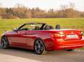 BMW 428 428i 33tkm/Scheckheft/unfallfrei/2Hnd Rojo - thumbnail 5