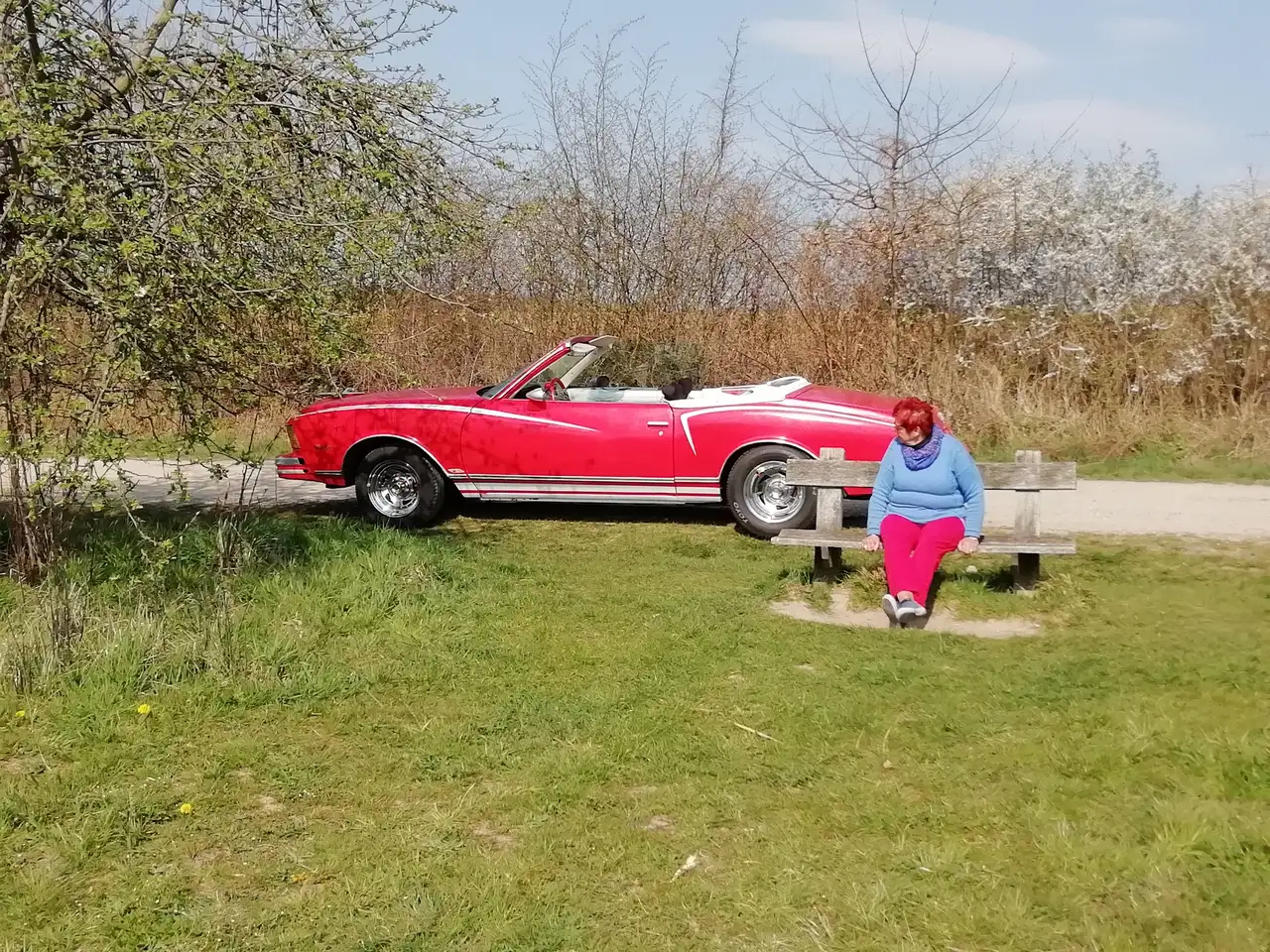 Chevrolet Monte Carlo Cabrio, foto 10