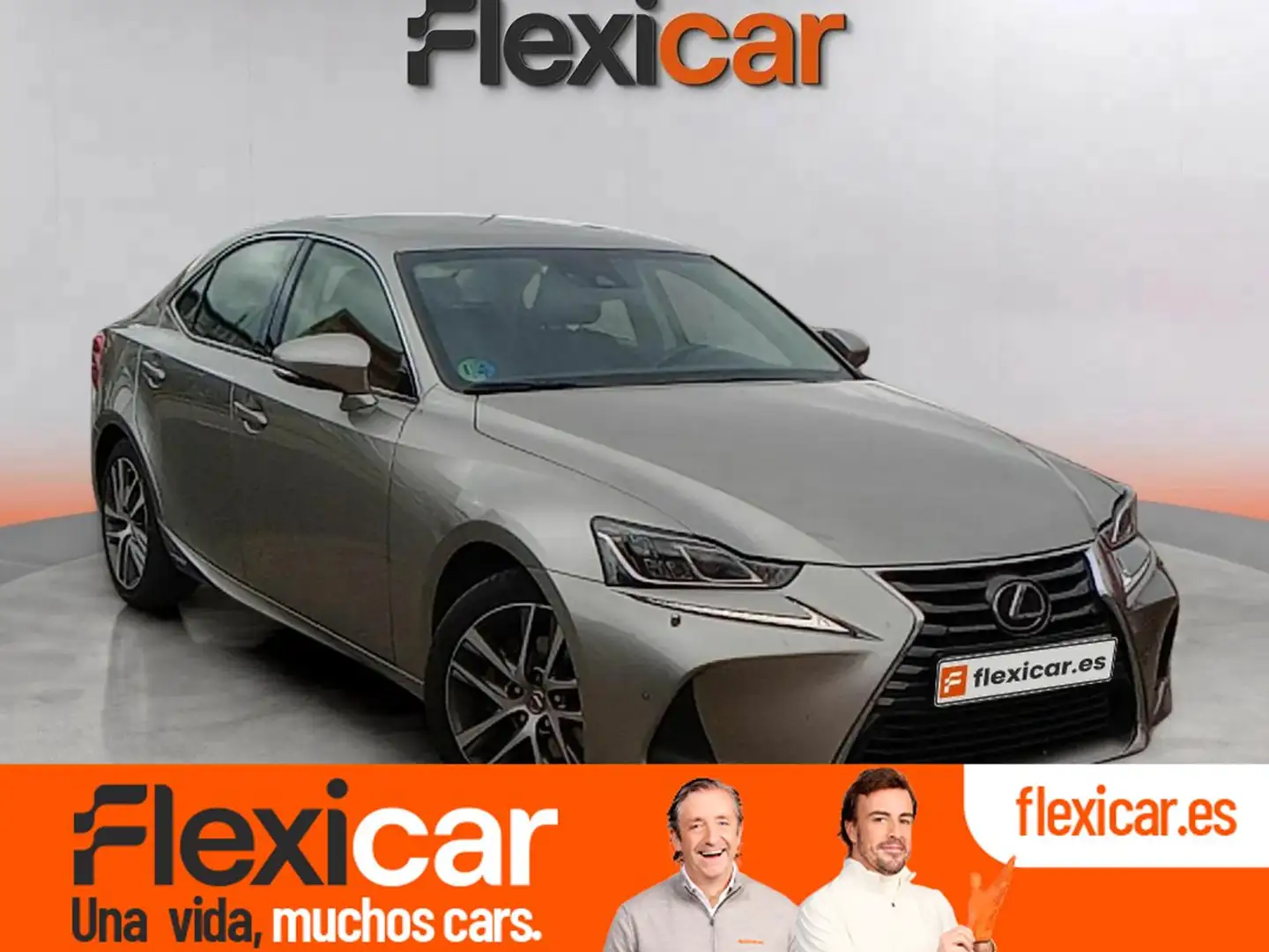 Lexus IS 250 2.5 300h ECO Gri - 1