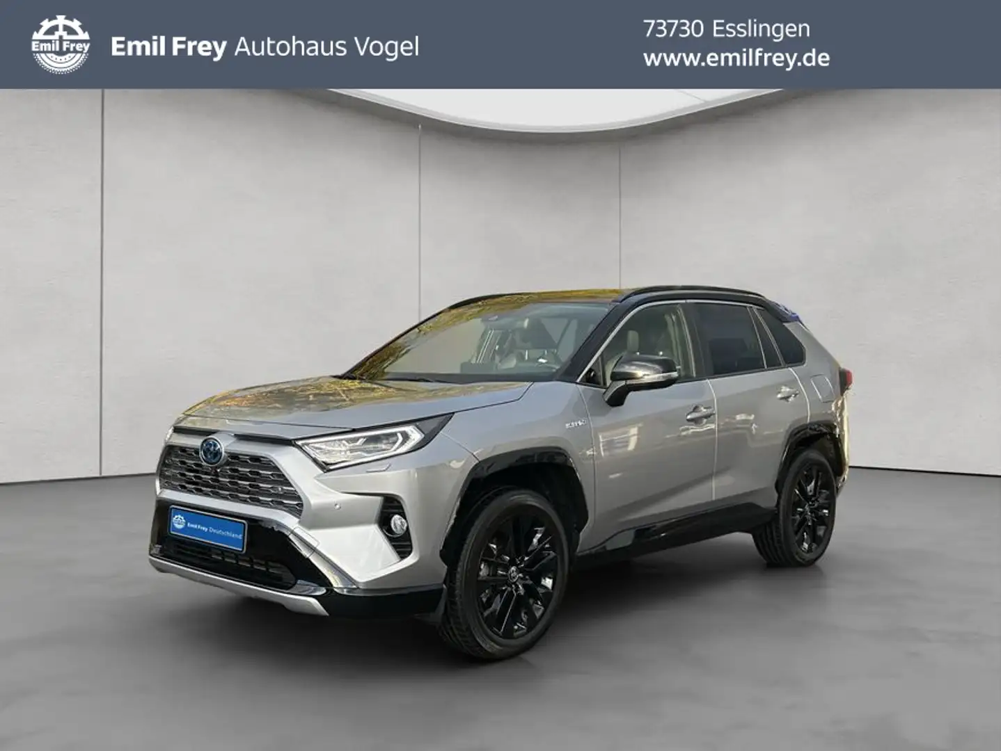 Toyota RAV 4 2.5 4x4 Hybrid Style Selection Argento - 1
