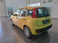 Fiat Panda 1.0 FireFly S&S Hybrid Giallo - thumbnail 7