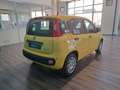 Fiat Panda 1.0 FireFly S&S Hybrid Geel - thumbnail 23