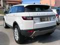Land Rover Range Rover Evoque 5p 2.0 td4 Pure 150cv auto Bianco - thumbnail 4