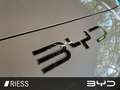 BYD Sealion 7 Excellence AWD Gris - thumbnail 19