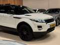 Land Rover Range Rover Evoque 2.0 Si 4WD 241PK, 20" Velgen, Black Pakket, Led/Xe Blanc - thumbnail 5