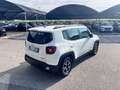 Jeep Renegade 1.0 T3 Business Bianco - thumbnail 3