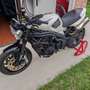 Triumph Speed Triple 1050 Bianco - thumbnail 5