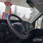 Iveco Daily 33S12A8V 2.3 CASSONE RIBALTABILE Blanc - thumbnail 8