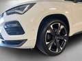CUPRA Ateca 2.0 TSI 4Drive DSG *Pano* Weiß - thumbnail 4