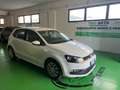Volkswagen Polo Volkswagen Polo 1.4 TDI 5p. Comfortline Blanc - thumbnail 3
