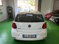 Volkswagen Polo Volkswagen Polo 1.4 TDI 5p. Comfortline Blanc - thumbnail 6
