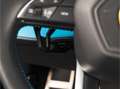 Lamborghini Urus 4.0 V8 Hybrid SE 23" I STYLE PACK I ANIMA I SUNBLI Zwart - thumbnail 23