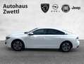 Peugeot 508 Allure BHDI 130  EAT8 Weiß - thumbnail 3