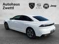 Peugeot 508 Allure BHDI 130  EAT8 Weiß - thumbnail 4