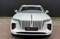 Hongqi E-HS9 President 99 kWh 6-pers.| Pano| 21"| Matrix| Vol l Белый - thumbnail 5